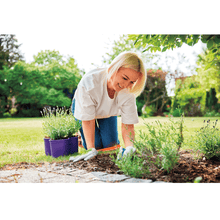 Arctic Air Breeze Jet